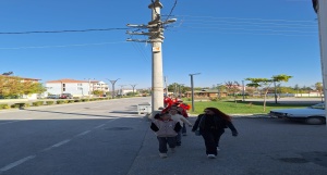 Dünya Yürüyüş Günü