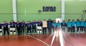 Voleybol Maçı